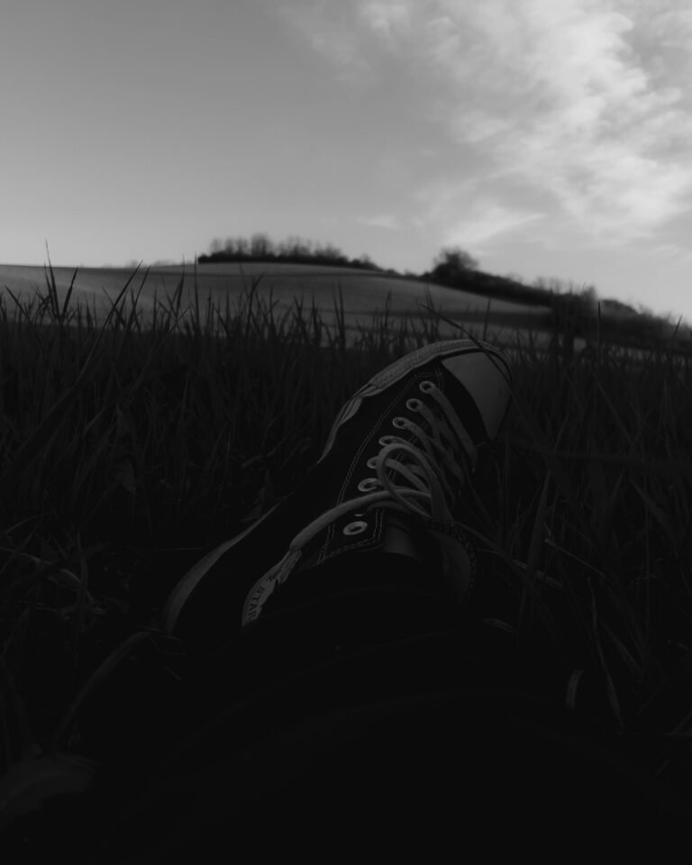 IMG_1246